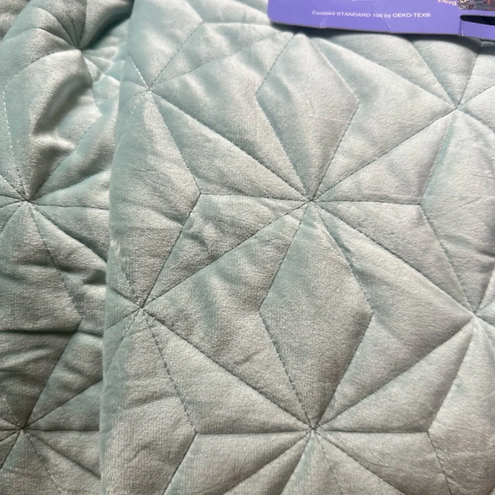 Wild Sage Vanessa Velvet 2-Piece Twin/Twin XL Quilt Set in Ether Blue NWT